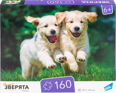 Пазл Dream Makers Зверята / RI1603C