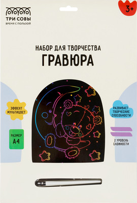 Гравюра Три совы Мишка в космосе / GA4_49937