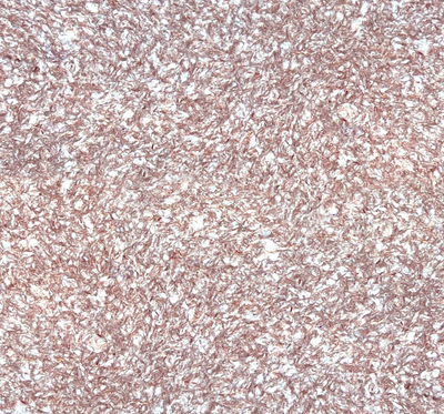 Жидкие обои Silk Plaster Мастер-Шелк MS-23+2