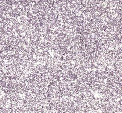 Жидкие обои Silk Plaster Мастер-Шелк MS-25+2