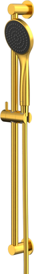 Душевой гарнитур Whitecross SET51BASICGLB (брашированное золото)