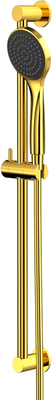 Душевой гарнитур Whitecross SET51BASICGL (золото)