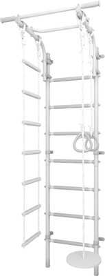 Детский спортивный комплекс Romana DSK 4.3 / 11.21.7.13.490.03.02-81.2 (серый/серый)