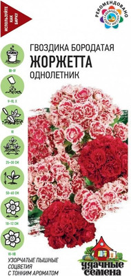 Семена цветов Гавриш Гвоздика бородатая турецкая Жоржетта (0.1г)