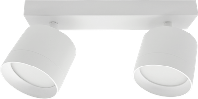 Спот Truenergy 21381