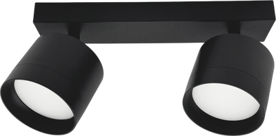 Спот Truenergy 21382