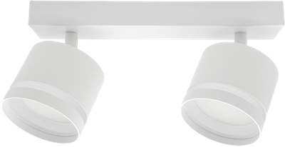 Спот Truenergy 21391