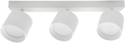 Спот Truenergy 21383