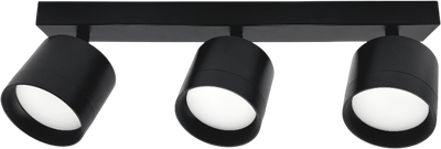 Спот Truenergy 21384