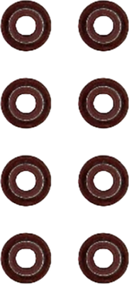 Набор маслосъемных колпачков Victor Reinz 12-52718-03