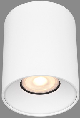 Потолочный светильник ST Luce ST167.502.01