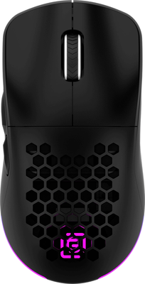 Мышь Оклик 900GMW (черный)