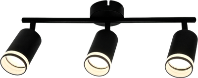 Спот Truenergy 21463