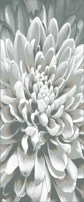 Коврик Витебские ковры Calypso Прямоугольник 4208 a3 (1x1.5)