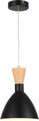 Потолочный светильник Evoluce SLE1256-403-01