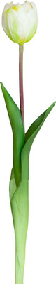 Искусственный цветок No Brand Тюльпан бокал 011 (белый)