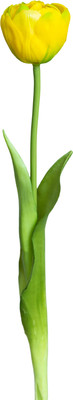 Искусственный цветок No Brand Тюльпан бокал 011 (желтый)