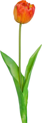 Искусственный цветок No Brand Тюльпан бокал 011 (оранжевый)