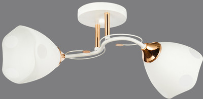 Потолочный светильник Mirastyle WX-6104/2 WH+FGD