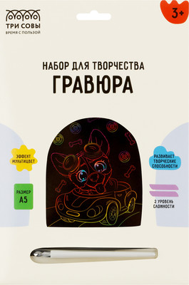 Гравюра Три совы Гонщик / GA5_49954