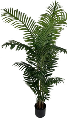 Искусственное растение Merry Bear Home Decor Пальма Ропалостилис Элит / A144165 (165см)