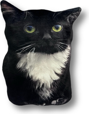 Подушка-игрушка Malvina Кот Чмоня мини / 9.439.2