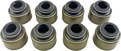 Набор маслосъемных колпачков Victor Reinz 12-22026-01