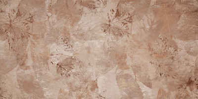 Плитка Meissen Calm 16891 (448x898, многоцветный)