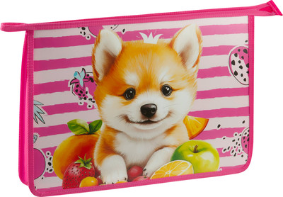 Папка для тетрадей ArtSpace Corgi / ПТ-83О0001