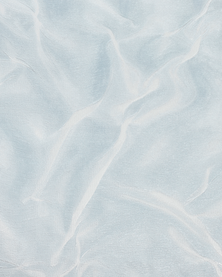 Виниловые обои Гомельобои Эрос к-81 24ВТР1 (на флизелиновой основе)