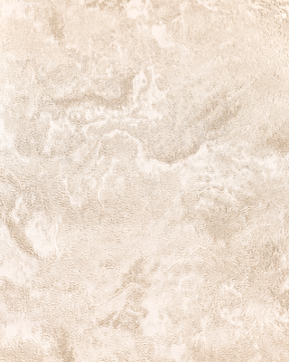 Бумажные обои Гомельобои Амбер к-51 24ДН1 (дуплекс)