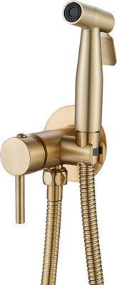 Гигиенический душ со смесителем Shevanik S147G (золотой сатин)
