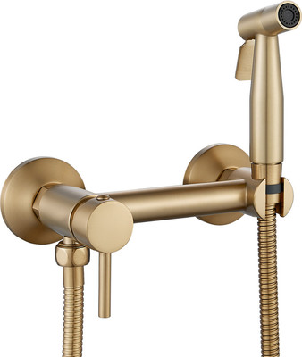 Гигиенический душ со смесителем Shevanik S107G (золотой сатин)