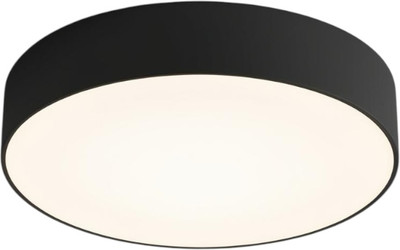 Потолочный светильник Truenergy 11163