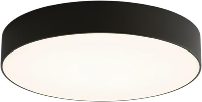 Потолочный светильник Truenergy 11164