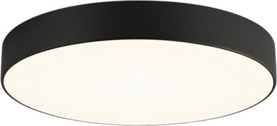 Потолочный светильник Truenergy 11165