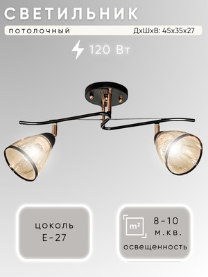 Спот Aitin-Pro НПБ 02-2x60-101 / 6291/2 (черный/золото)