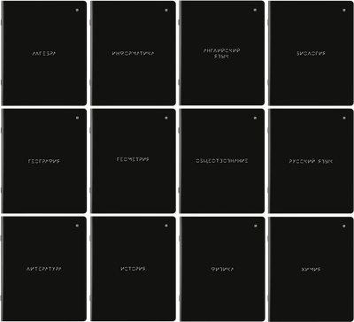 Набор предметных тетрадей Brauberg 404831 (12шт)