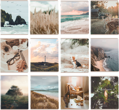 Набор предметных тетрадей Brauberg 404833 (12шт)