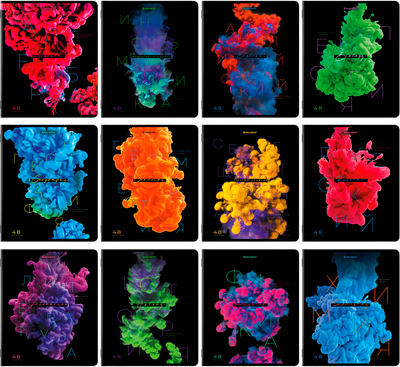 Набор предметных тетрадей Brauberg 404834 (12шт)