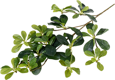 Искусственная ветка ForGarden Шефлера BN11069