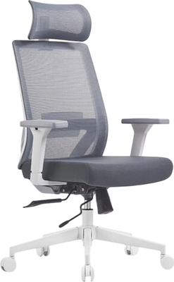 Кресло офисное Sparx Toro Plus FX-15 (белый/серый)