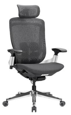 Кресло офисное Sparx Goat FT-16 (черный/темно-серый)