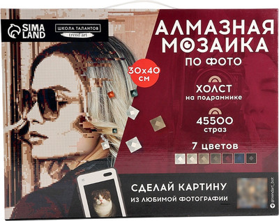 Набор алмазной вышивки Школа талантов Vintage / 10699407