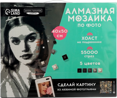 Набор алмазной вышивки Школа талантов Gray / 10699412