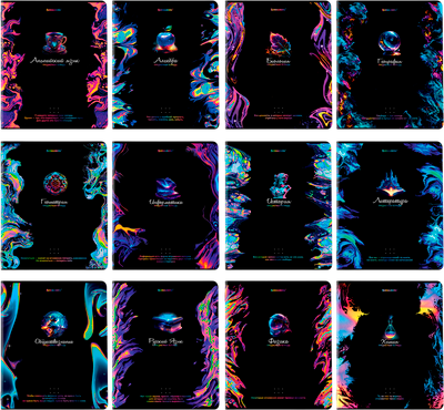 Набор предметных тетрадей Brauberg 404836 (12шт)