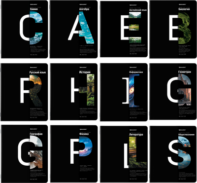 Набор предметных тетрадей Brauberg 404845 (12шт)