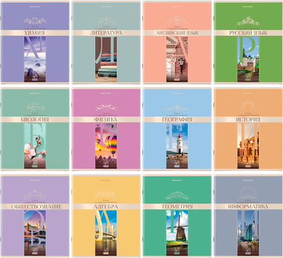 Набор предметных тетрадей Brauberg 404606 (12шт)