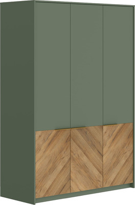 Шкаф Black Red White Siena SZF3D (дымчатый зеленый/дуб вотан)