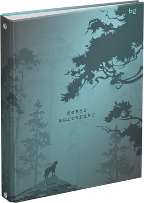 Тетрадь BG Не сдавайся / ТТ5к120_лм 62921 (120л)